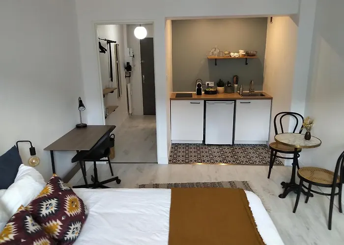Appartement Spacieux Et Cosy - Strasbourg Centre